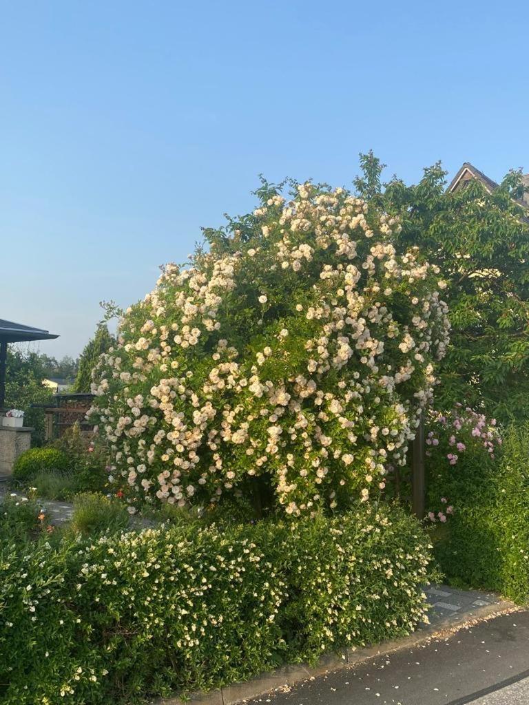 Ferienwohnung Hinterhermsdorf Glaser Sebnitz Luaran gambar